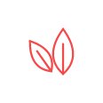 about Leaves